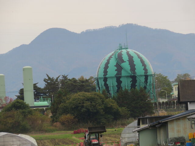 XCJ̃KXz_[_XCJ̃KXz_[