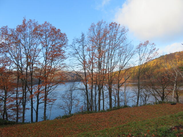 �⓴��_�⓴��