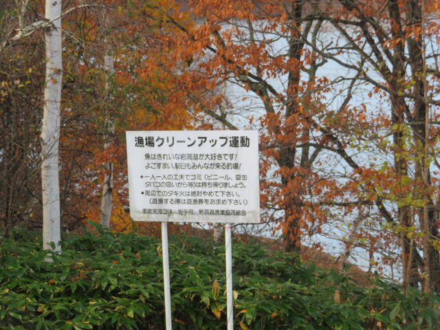 �⓴��_�⓴��