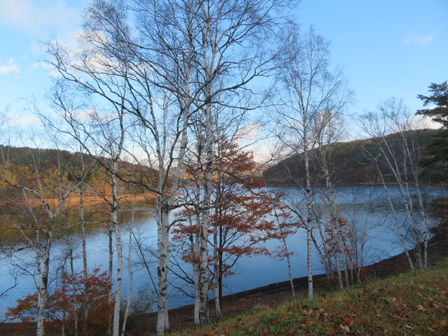 �⓴�΁@�@�����Ɋ��R_�⓴��