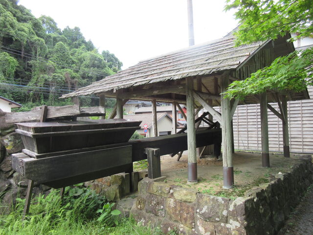 񂳂̗Lcjٓق̓eʐ^4