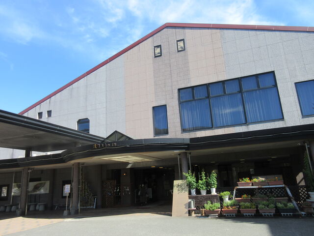 ���Y����n�C�c�O�ρi�������B�e�j_���Y����