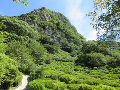 ������񂳂�̌�D�R�ւ̓��e�ʐ^1