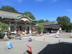 񂳂̕Y_ЁiY܎Б喾_jւ̓eʐ^1