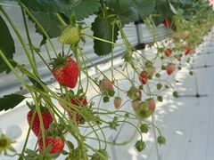 킩̌(䂢)t@[ւ̓eʐ^1