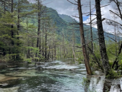 �������񂳂�̏㍂�n����̐����ւ̓��e�ʐ^1