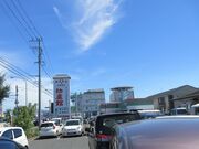 񂳂̕Y򕨎Yق̓eʐ^1