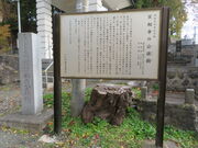 L̍wVRLOũC`Ev̓eʐ^2