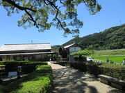 񂳂̐Â̑@גق̓eʐ^2