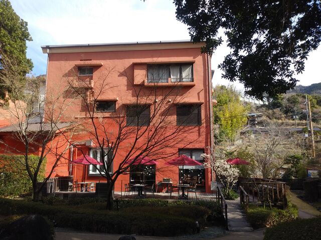 �����Ȕ��p�قł����A�W���͑f���炵���ł��B_�������͌����p��