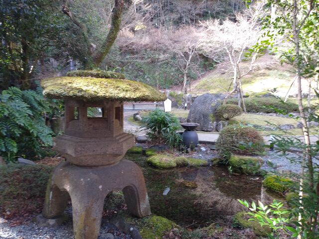 ��͖����ł��B_�������͌����p��