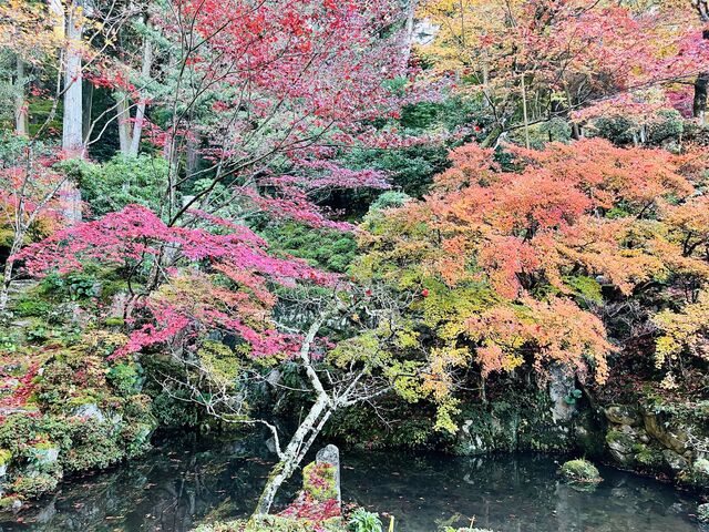 �����@�ɂ�_�����@�i�����֎��{�V�j