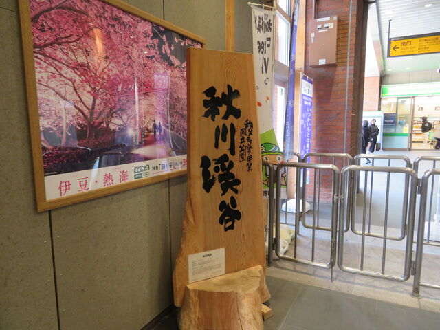 �����ܓ��s�w�@�H��k�J�ό����R�[�i�[_�ܓ��s�ό��ē���