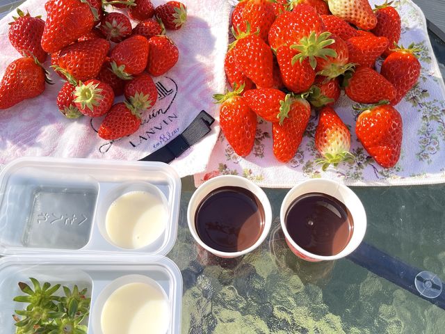 �������T�[�r�X�Ƀe���V�������オ��܂��B_�ό������_�����C�t�@�[��