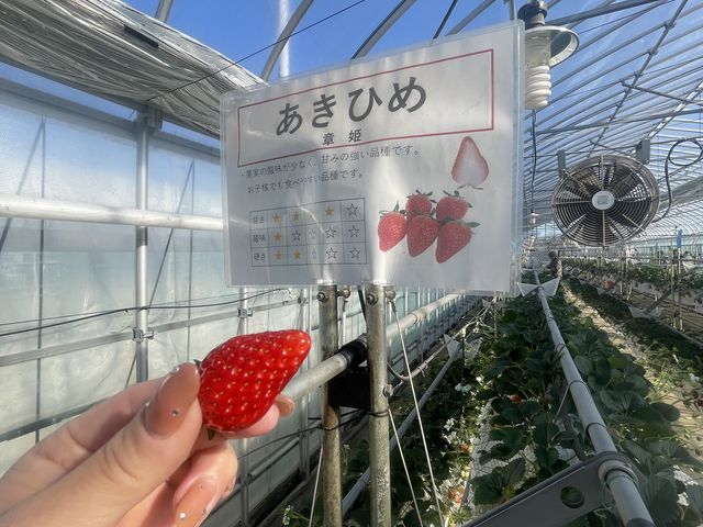 �͕P�͂�͂�Â��Ĕ������������ł�_�ό������_�����C�t�@�[��