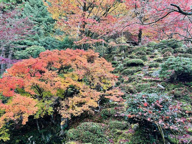 �����@�ɂ�_�����@�i�����֎��{�V�j