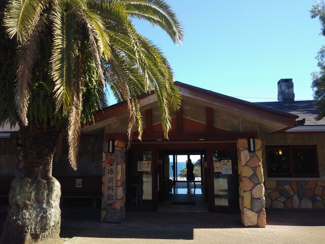 �T�N���T�N����̑哇�����̒ւ̓��e�ʐ^5