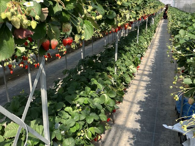 �Ԃ�����������������I_�x�ÃA�N�A�t�@�[��