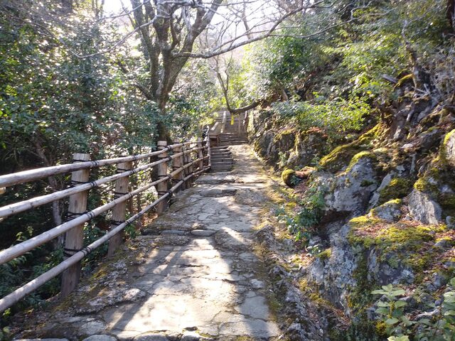 �ׂ��R����o���čs���܂��B_��ߊt�����