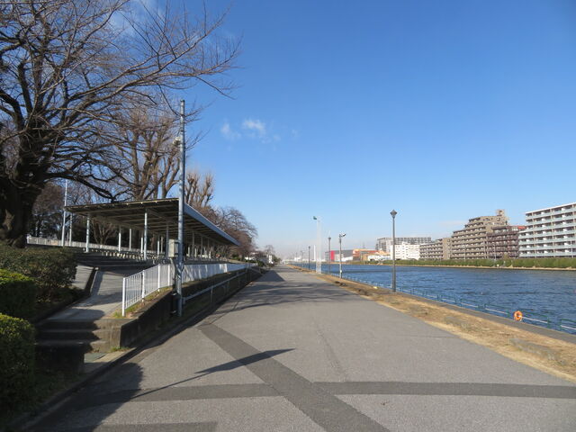 �˓c����_�˓c����