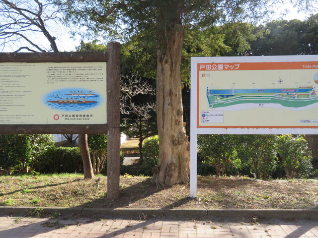 �˓c�����@�R�[�X�}_�˓c����