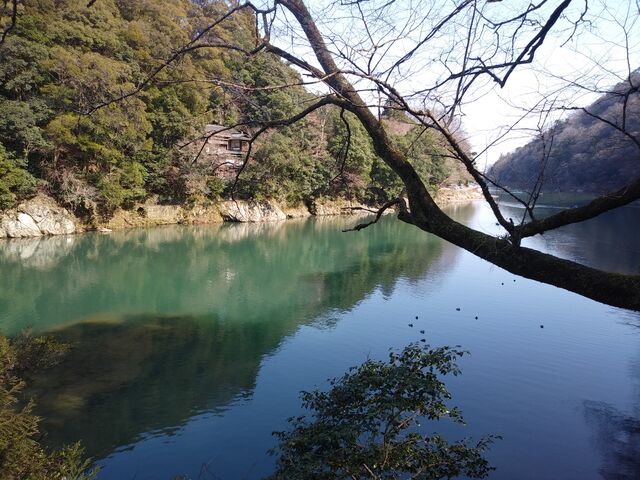 �R�e���f���Ă��ꂢ�ł��B_���R