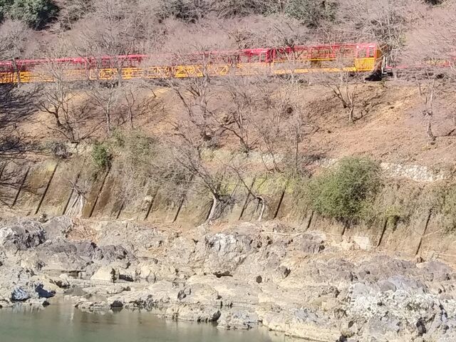 �Ί݂𑖂�g���b�R���_���R