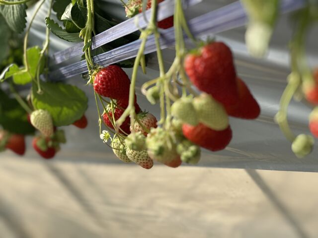 �܂��܂����ꂩ���䕂���R����܂����B_�ό����������@�G�[�A�g�x�[��