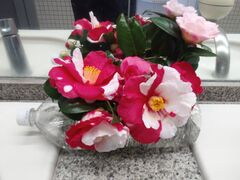 TNTN̈ɓ哇ւ̓eʐ^5