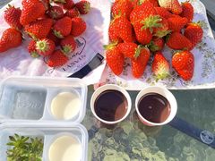 ݂₳̊ό_Ct@[ւ̓eʐ^2