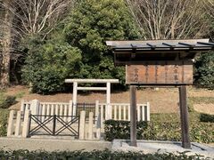 81758_0005725209_1.jpeg