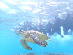 CgEnico {Óւ̓eʐ^1