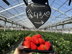 ݂񂳂joumonfarmi傤ӂ[ށjւ̓eʐ^1