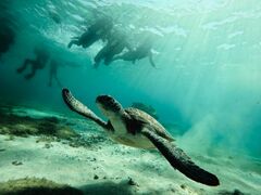 kyoñI[X[Vm[P{Óւ̓eʐ^1