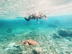 肳nico {Óւ̓eʐ^1