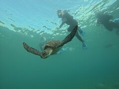 ˂˂̃I[X[Vm[P{Óւ̓eʐ^1