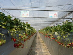 肼̂͂Ȃt@[ւ̓eʐ^2