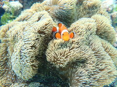 ͂͂nico {Óւ̓eʐ^2