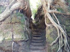 TNTN̐Â̐ؒʂւ̓eʐ^1