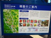 �T�N���T�N����̑哇�����̒ւ̓��e�ʐ^2