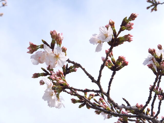 �Q�������ς�_�i��