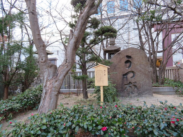 ���_�Ё@�x�̔�_���_��