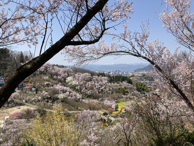 �Ԍ��R���i�����ɐ��������ȎR���ȁH��]�ށj_�Ԍ��R����