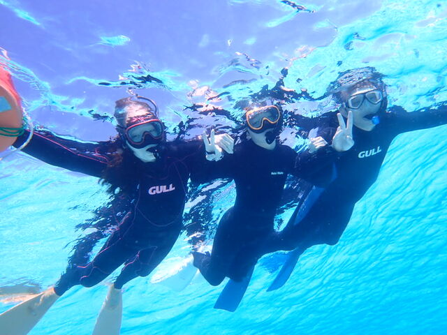 YȊCł̃Vm[PB
ōł_Marine Shop rW