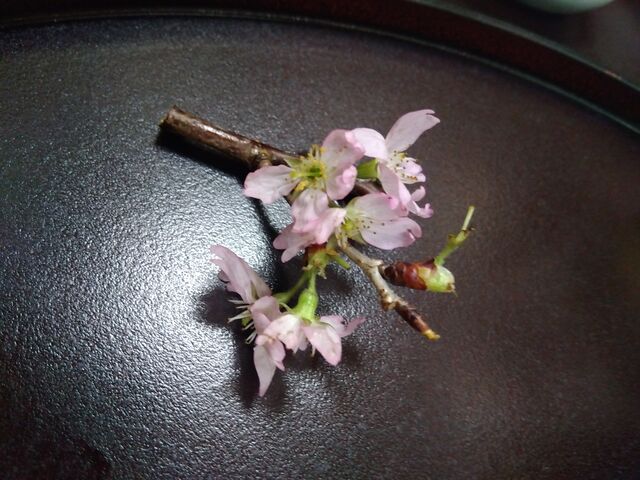 �ԏ��肪
���ł����I_�������ف@�l�ۉԒd