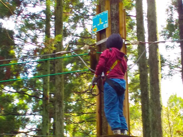 Lms[R[X_tHXgAhx`[E^[UjA