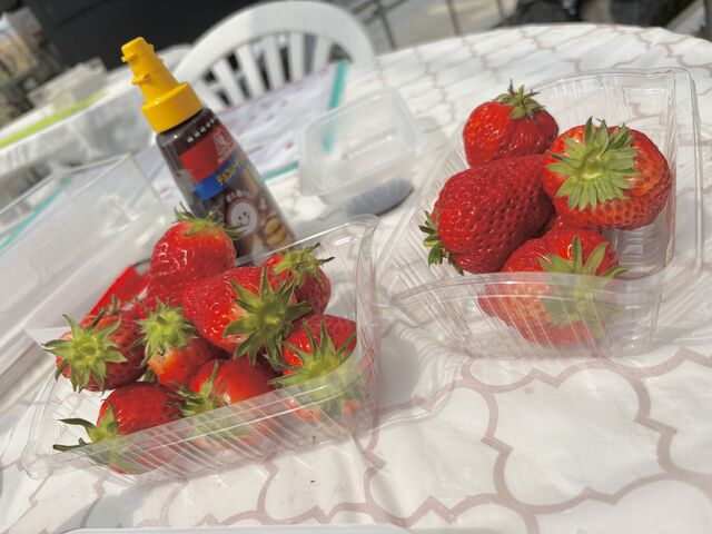 ��������E��Ńe�[�u���ŐH�ׂ�܂�_�祂Ղ�`��