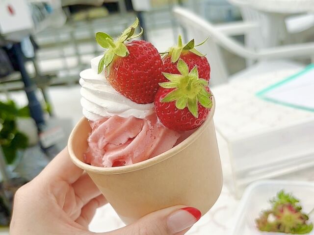 �T�[�r�X�̃A�C�X�Ńp�t�F���A�Ƃ��Ă����������ł�_�祂Ղ�`��