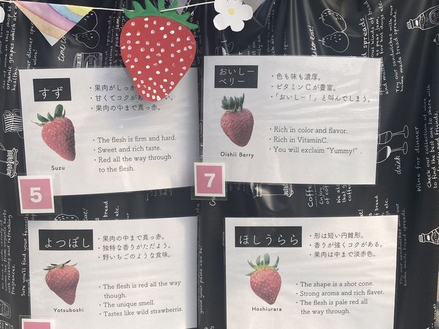 �i��̐��������J��_������