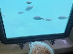 W]D@xN[YƂ@[݂tbN̎ʐ^2